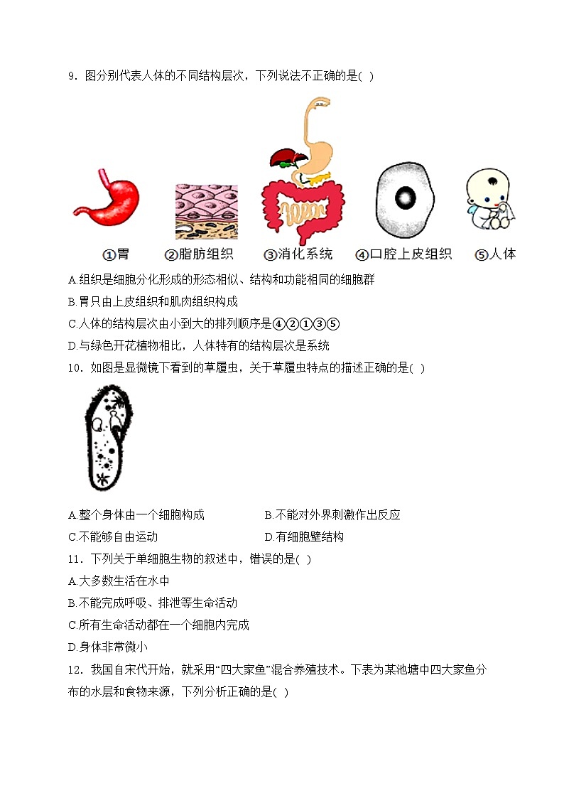 陕西省宝鸡市陇县2023-2024学年七年级下学期期中考试生物试卷(含解析)第2页