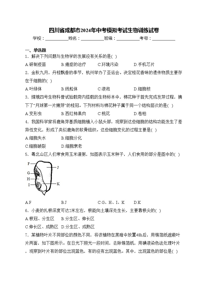 四川省成都市2024年中考模拟考试生物训练试卷(含答案)第1页