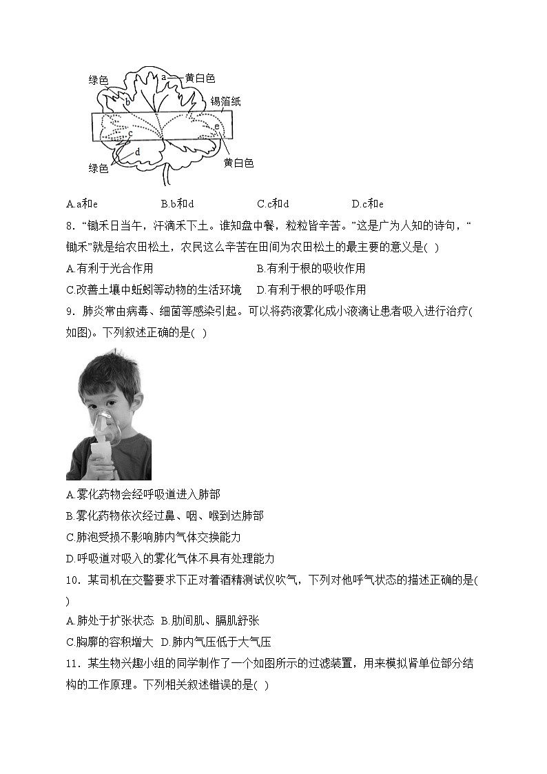 四川省成都市2024年中考模拟考试生物训练试卷(含答案)第2页
