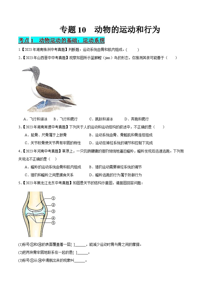 2024年中考生物真题分项汇编(全国通用)-专题10 动物的运动和行为(原卷版)第1页