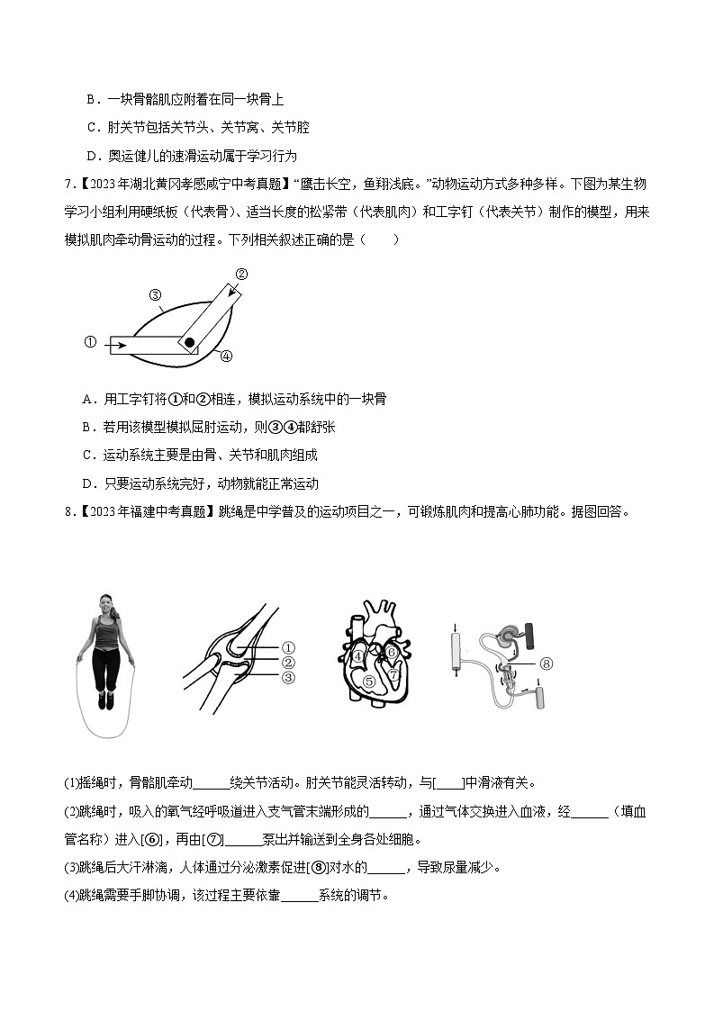 2024年中考生物真题分项汇编(全国通用)-专题10 动物的运动和行为(原卷版)第3页