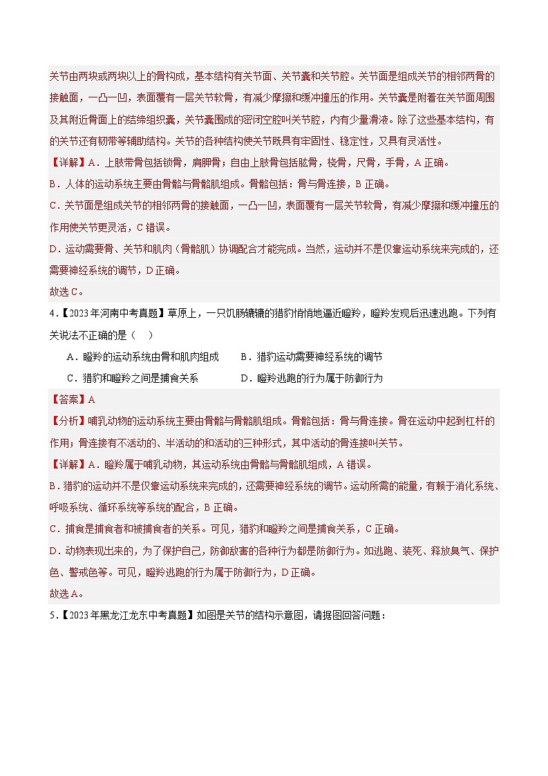 2024年中考生物真题分项汇编(全国通用)-专题10 动物的运动和行为(解析版)第2页