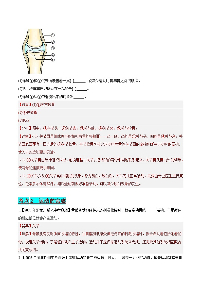2024年中考生物真题分项汇编(全国通用)-专题10 动物的运动和行为(解析版)第3页