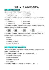 2024年中考生物真题分项汇编（全国通用）-专题14 生物的遗传和变异（原卷版+解析版）