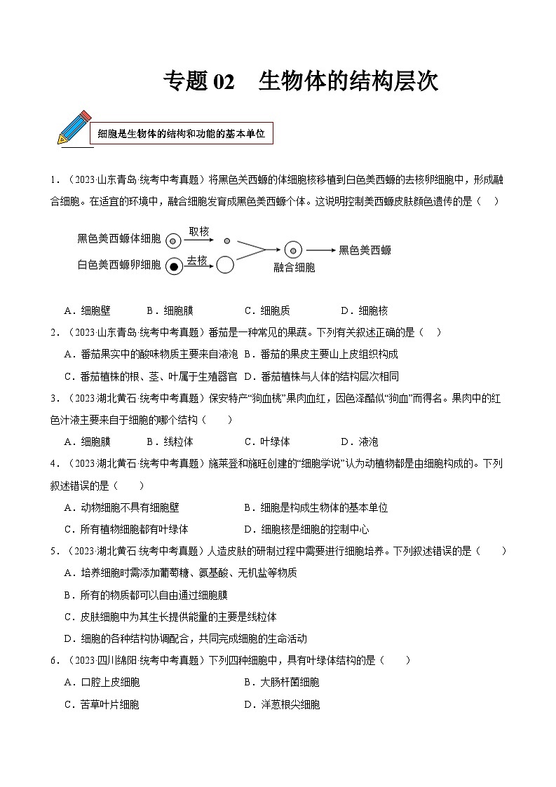 2024年中考生物真题分项汇编(全国通用)-专题02 生物体的结构层次(原卷版)第1页