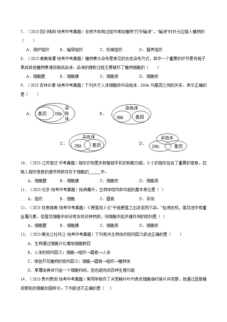 2024年中考生物真题分项汇编(全国通用)-专题02 生物体的结构层次(原卷版)第2页