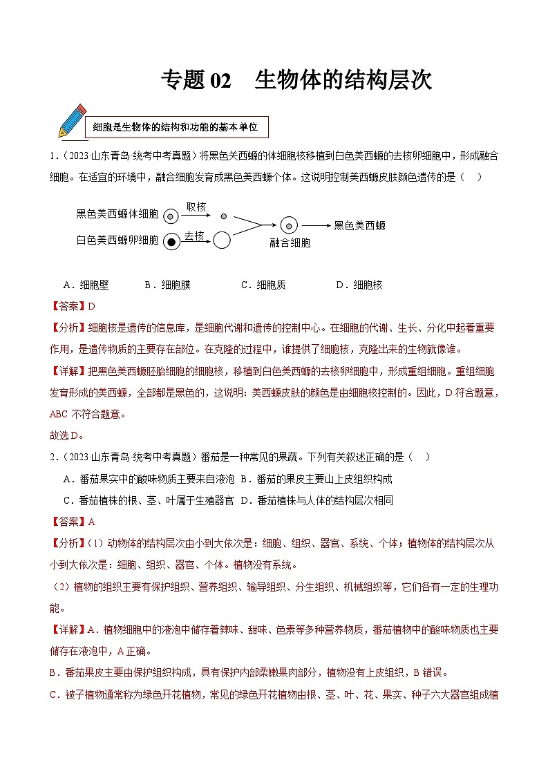 2024年中考生物真题分项汇编(全国通用)-专题02 生物体的结构层次(解析版)第1页