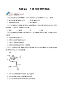 2024年中考生物真题分项汇编(全国通用)-专题08 人体内废物的排出(原卷版+解析版)