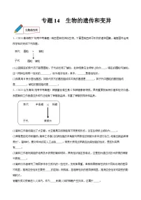 2024年中考生物真题分项汇编（全国通用）-专题14 生物的遗传和变异（原卷版+解析版）