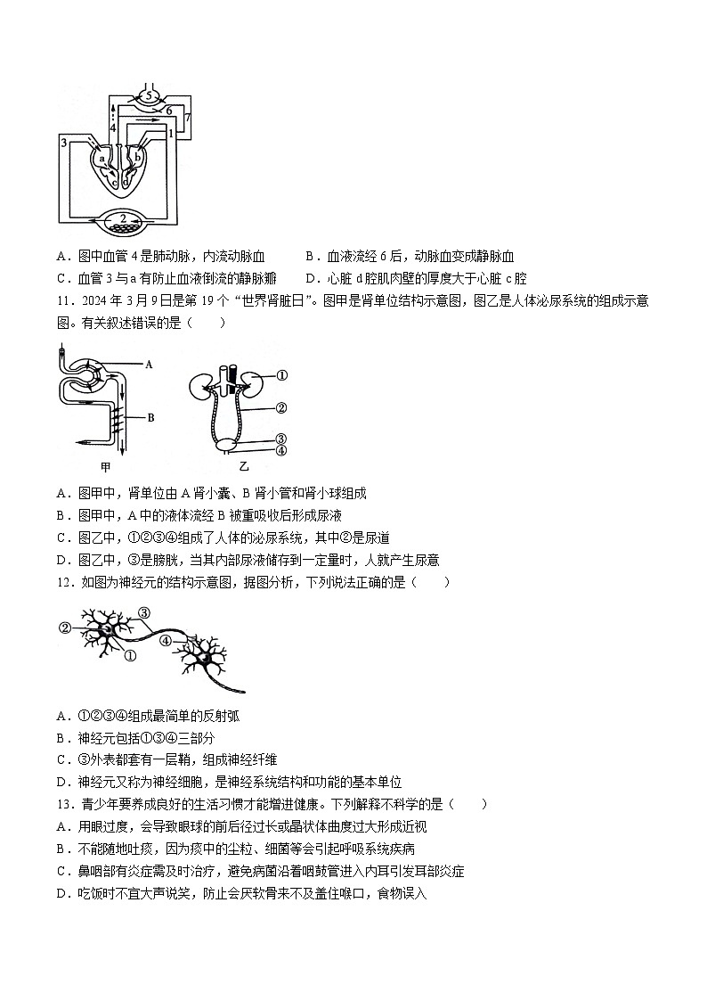 2024年山东省聊城市外国语等学校中考生物模拟试题(一)03