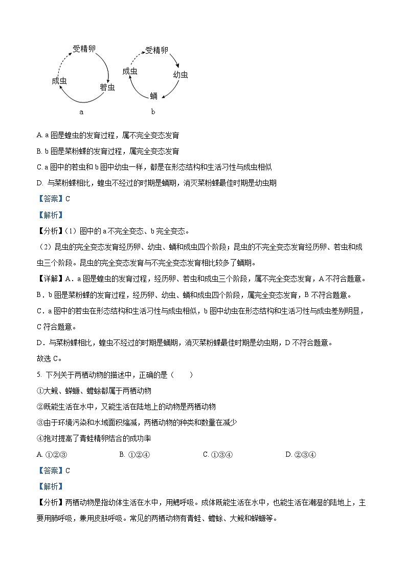 新疆和田地区墨玉县2023-2024学年八年级下学期期中生物试题(解析版)第3页