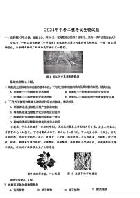 2024年湖北省恩施市土家族自治县中考二模考试生物试题+