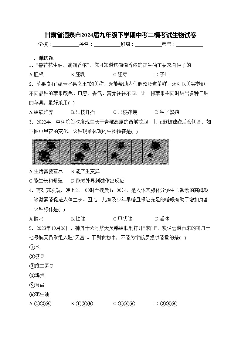 甘肃省酒泉市2024届九年级下学期中考二模考试生物试卷(含答案)01