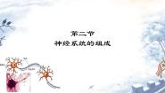 人教版 (新课标)七年级下册第二节 神经系统的组成教课ppt课件