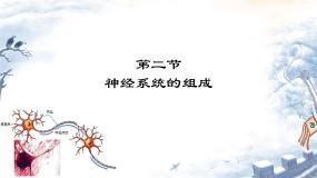 人教版 (新课标)七年级下册第二节 神经系统的组成教课ppt课件