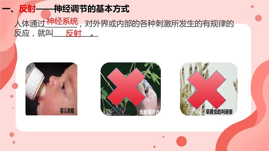 人教版（新課標(biāo)）七年級(jí)生物下冊(cè)第四單元第六章第三節(jié)神經(jīng)調(diào)節(jié)的基本方式課件（內(nèi)嵌視頻）第5頁(yè)