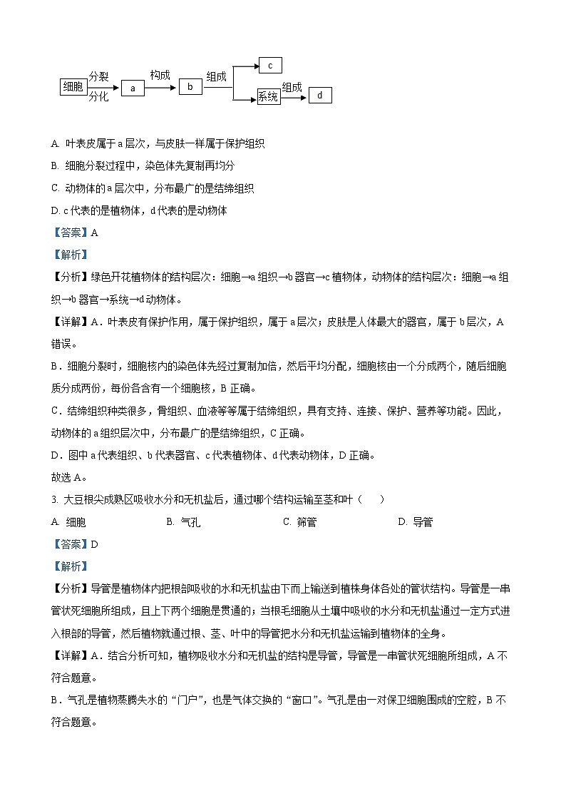 2024年山西省大同市新荣区三校联考中考二模生物试题(原卷版+解析版)02