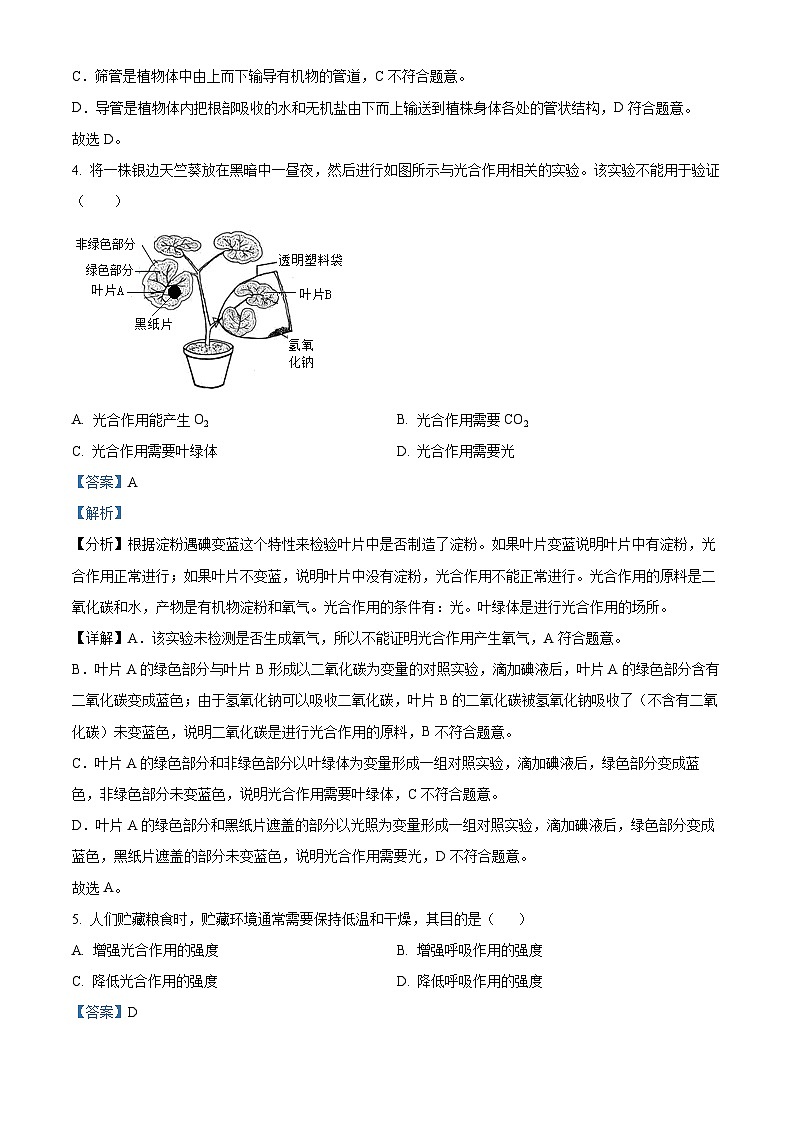 2024年山西省大同市新荣区三校联考中考二模生物试题(原卷版+解析版)03