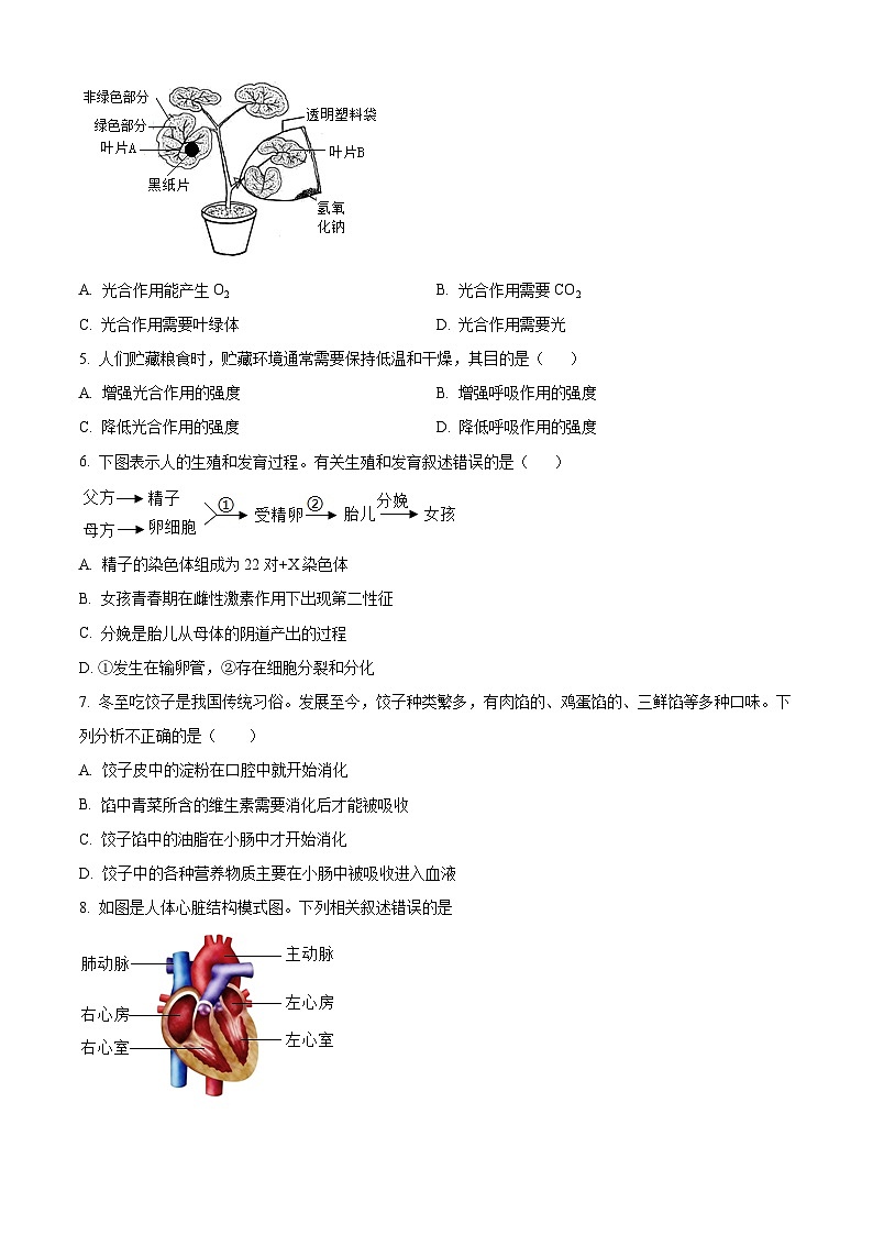2024年山西省大同市新荣区三校联考中考二模生物试题(原卷版+解析版)02