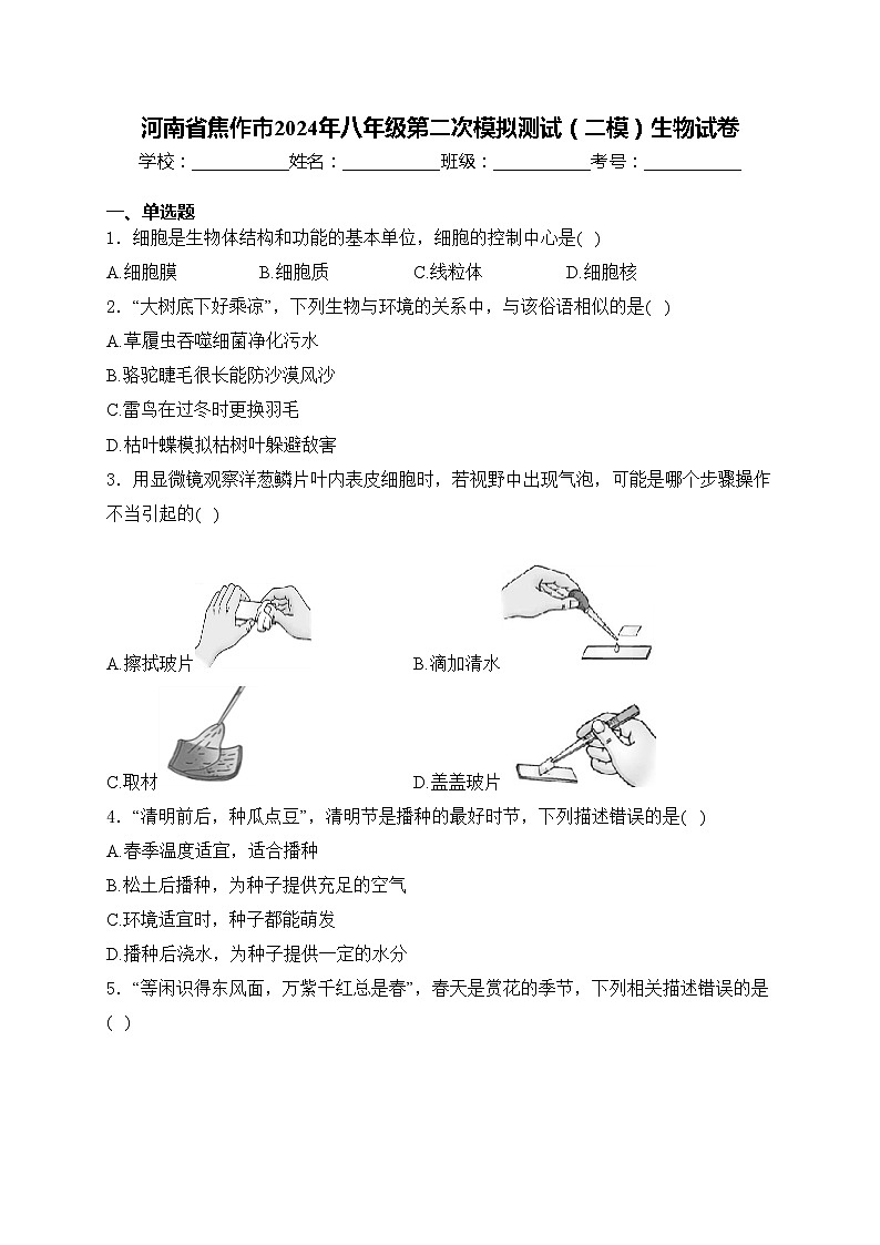 河南省焦作市2024年八年级第二次模拟测试(二模)生物试卷(含答案)第1页