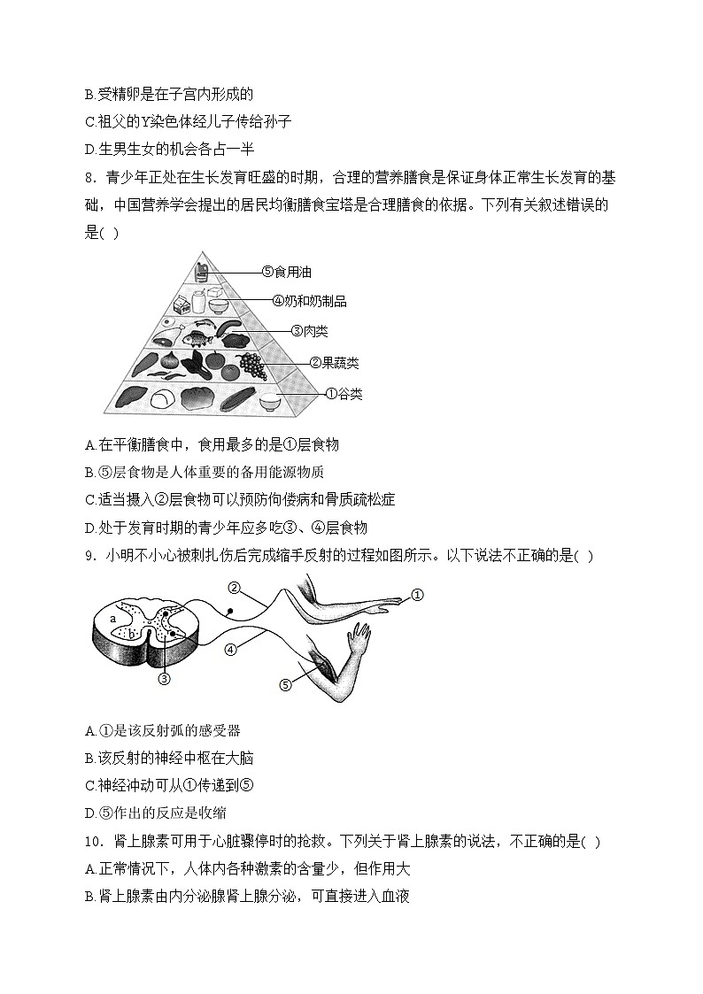 河南省洛阳市宜阳县2023-2024学年八年级下学期期中生物试卷(含答案)第3页