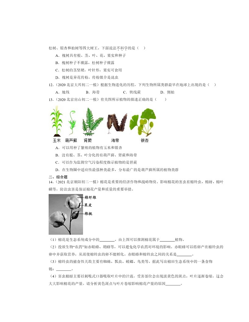 2020~2024北京初二一模生物試題分類匯編:種子植物第3頁