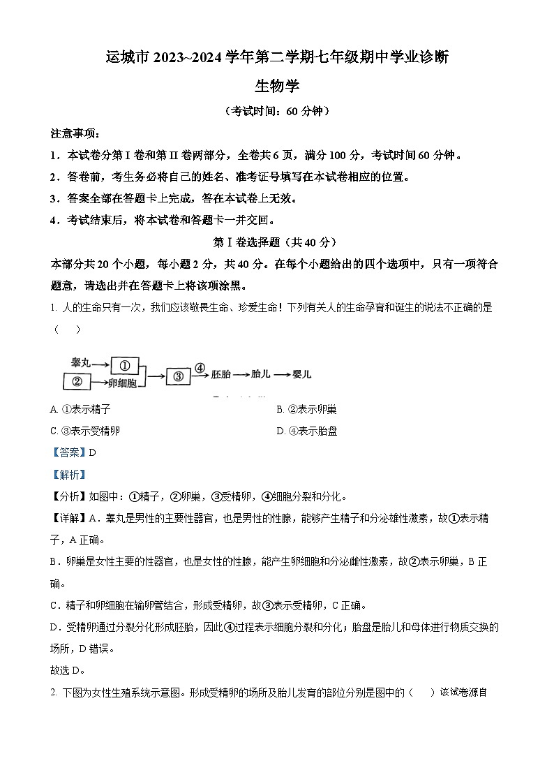 山西省运城市2023-2024学年七年级下学期期中生物试题第1页