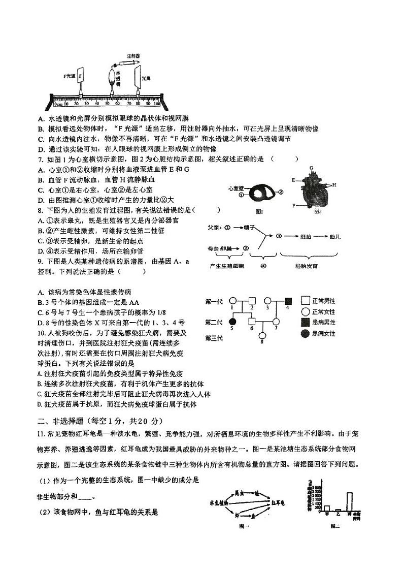 江苏省徐州市沛县第五中学2023-2024学年八年级下学期5月月考生物试题02