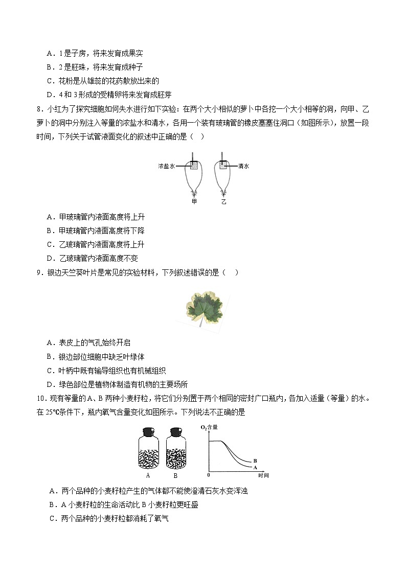 2024年中考第三次模擬考試題：生物（北京卷）（考試版）第3頁(yè)