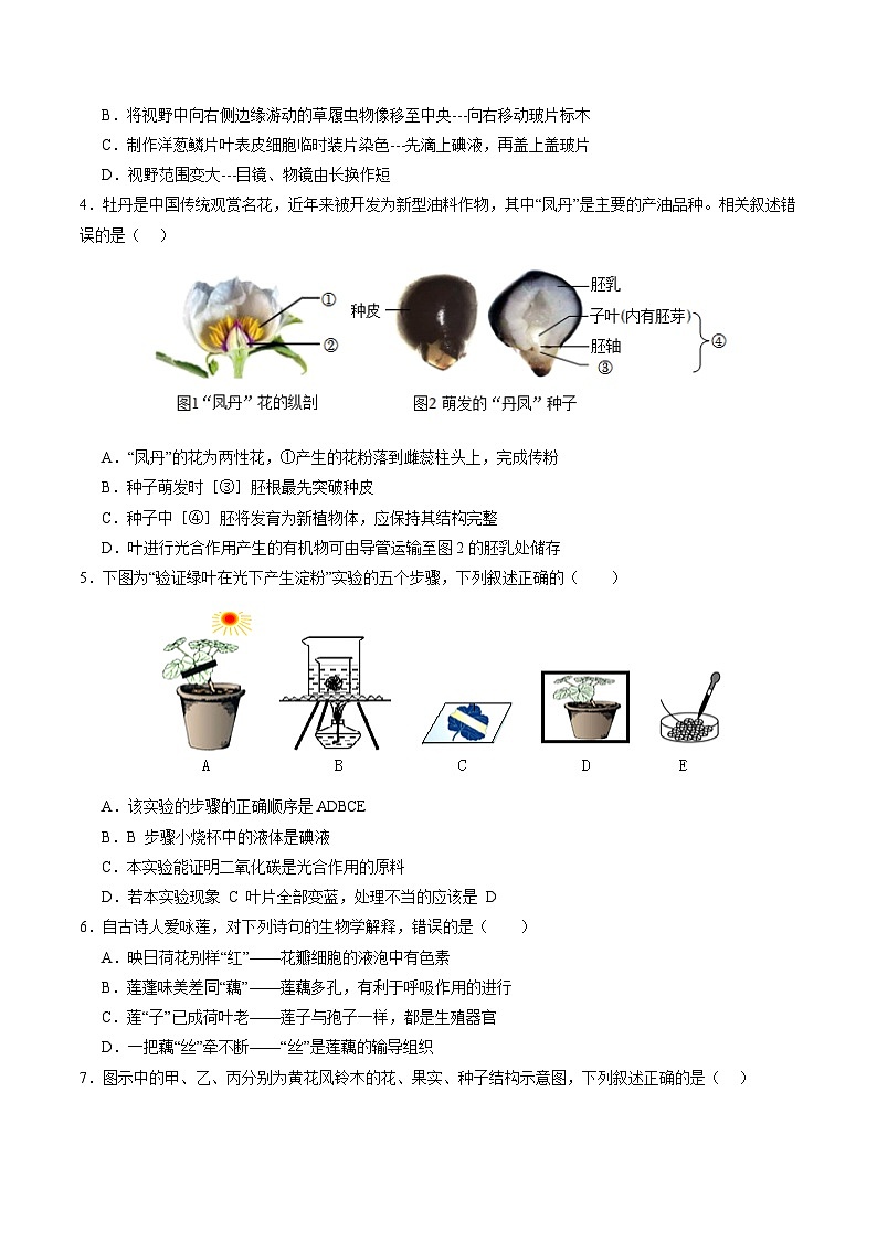 2024年中考第三次模拟考试题:生物(广东省卷)(考试版)第2页
