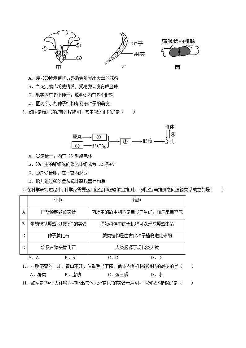 2024年中考第三次模拟考试题:生物(广东省卷)(考试版)第3页