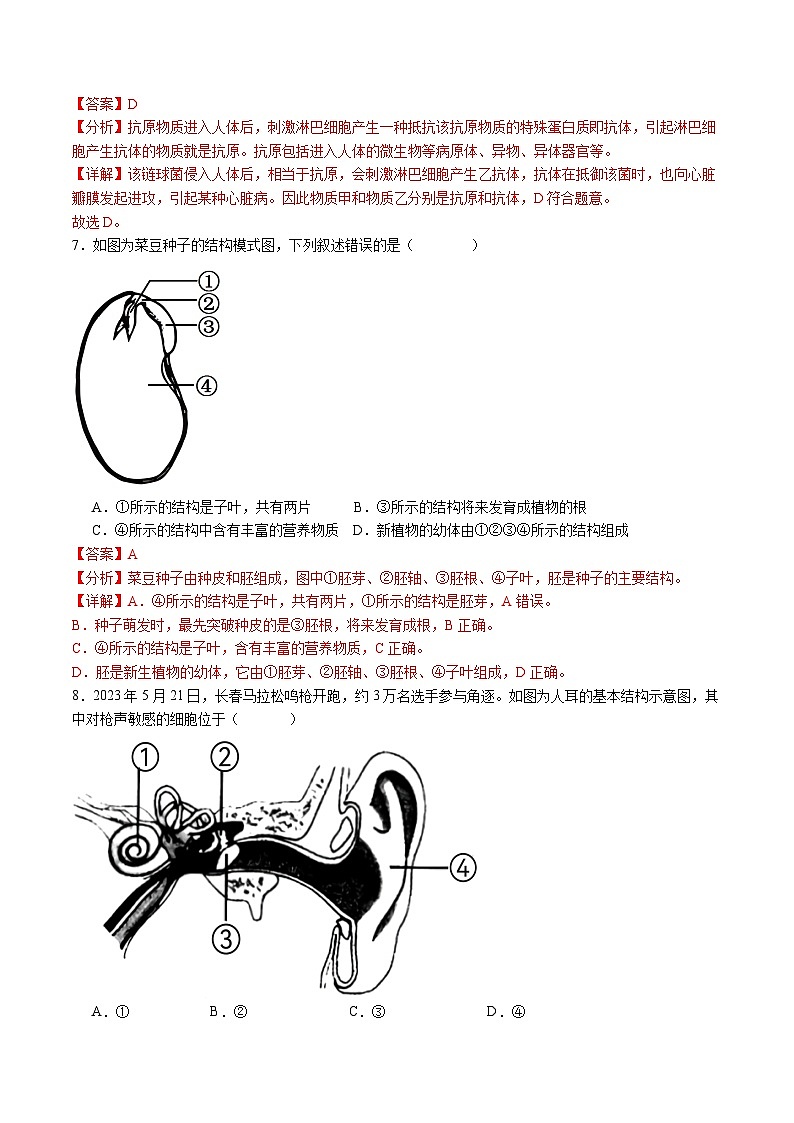 2024年中考第三次模拟考试题:生物(湖北省卷)(解析版)第3页