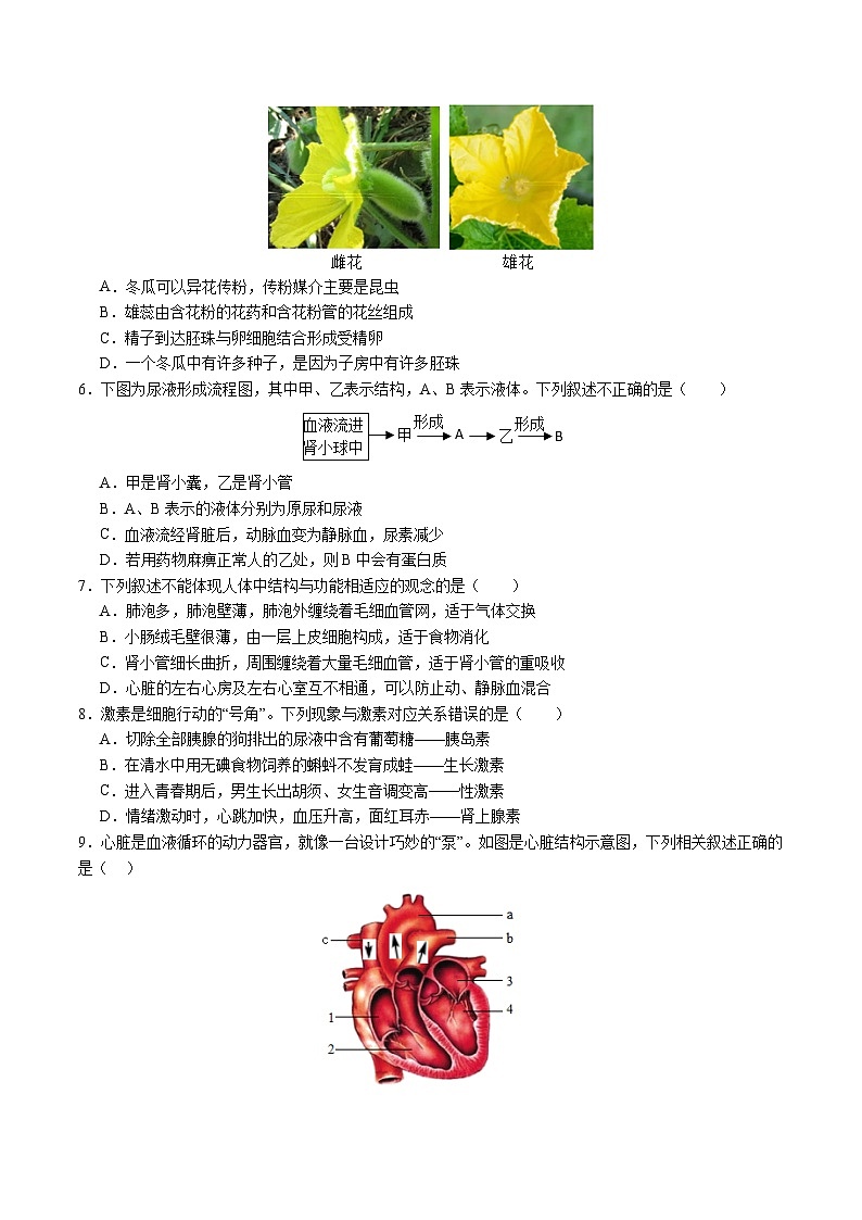 2024年中考第三次模拟考试题:生物(深圳卷)(考试版)第2页