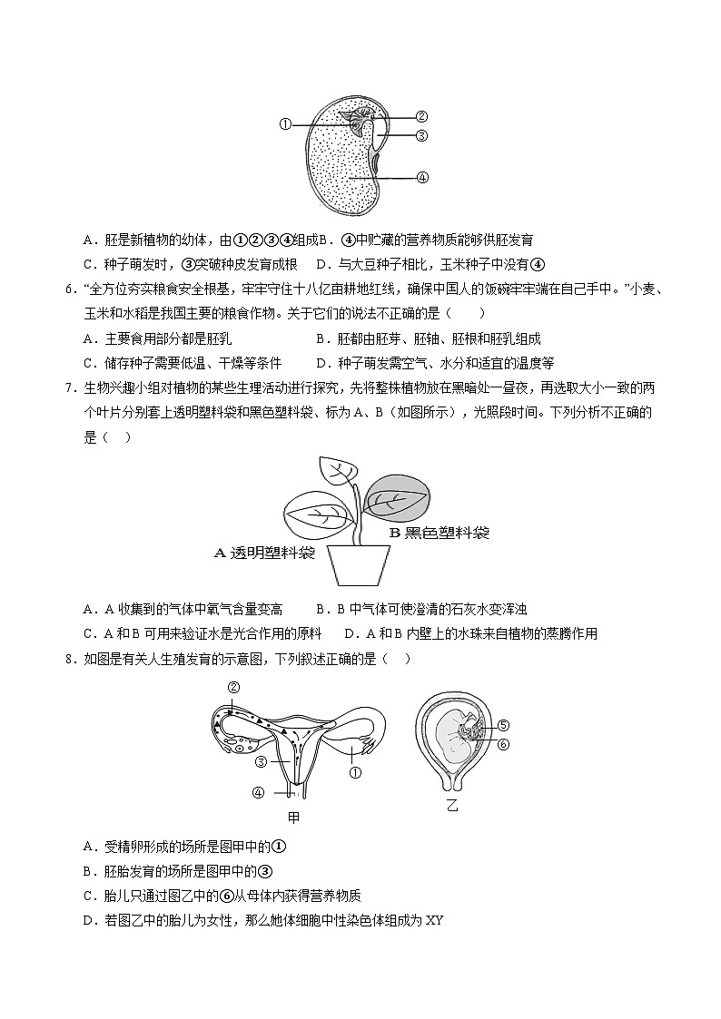 2024年中考第三次模拟考试题:生物(重庆卷)(考试版)第2页