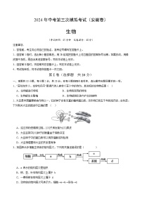 2024年中考第三次模拟考试题：生物（安徽卷）（考试版）