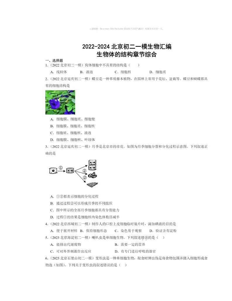 2022~2024北京初二一模生物试题分类汇编:生物体的结构章节综合01