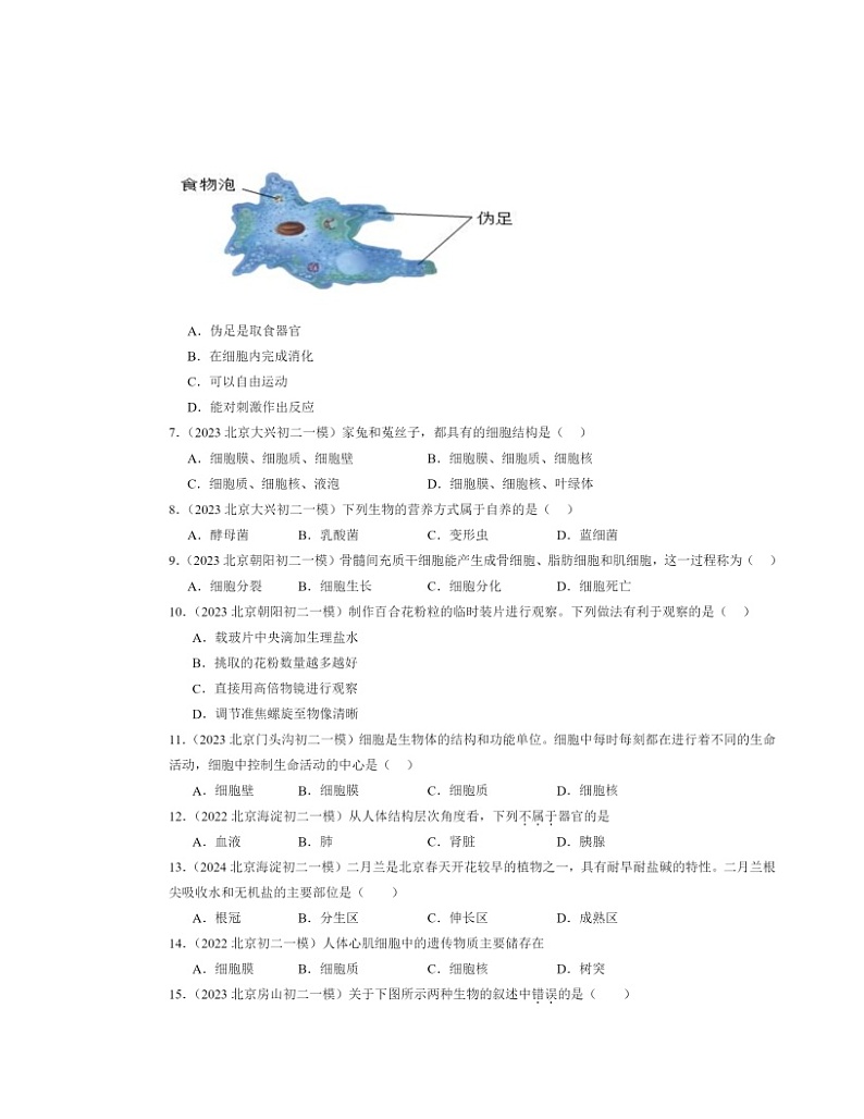 2022~2024北京初二一模生物试题分类汇编:生物体的结构章节综合02