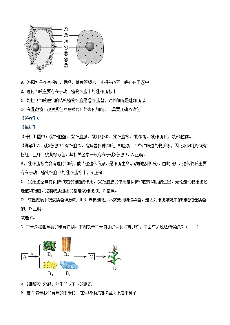 山东省枣庄市台儿庄区2023-2024学年八年级下学期期中生物试题(解析版)第3页