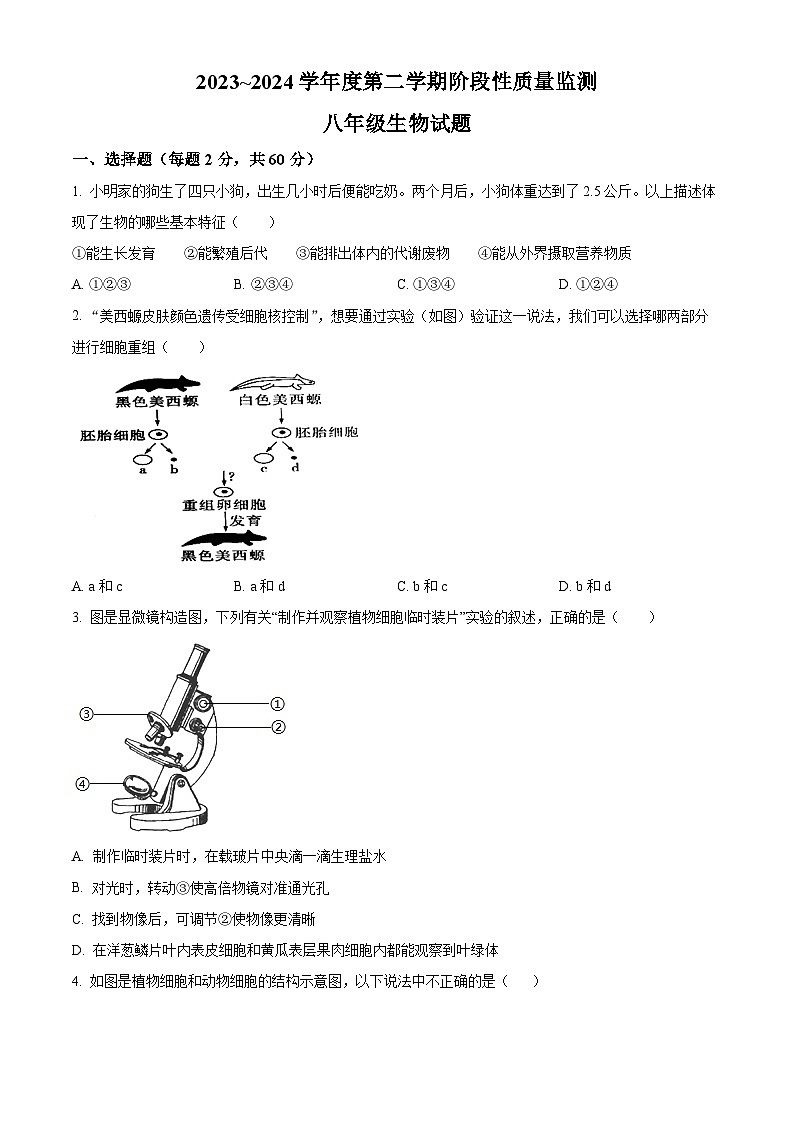 山东省枣庄市台儿庄区2023-2024学年八年级下学期期中生物试题(原卷版)第1页