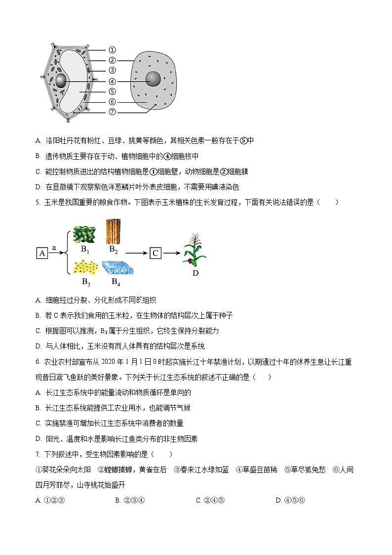 山东省枣庄市台儿庄区2023-2024学年八年级下学期期中生物试题(原卷版)第2页