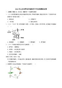 2024年山東省青島市城陽(yáng)區(qū)中考生物模擬試卷