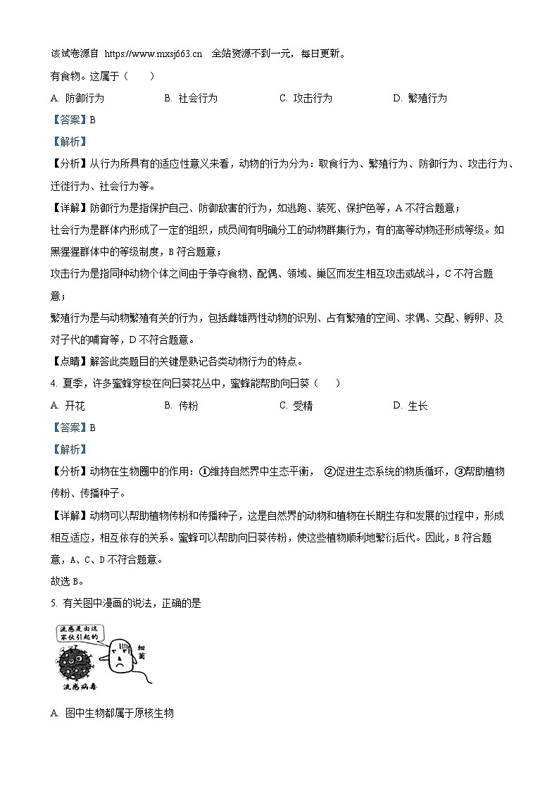 2023年福建省泉州市石狮市农村六校中考模拟生物试题第2页