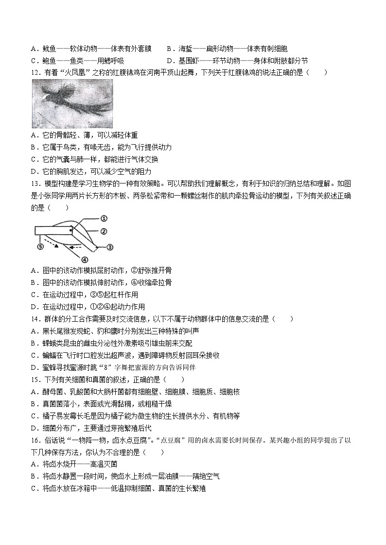 2024年湖南省娄底市娄星区八年级中考生物第一次模拟试卷(无答案)第3页