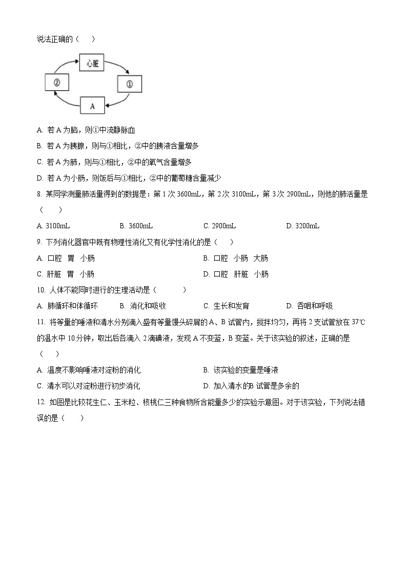 辽宁省沈阳市于洪区2023-2024学年七年级下学期期中生物试题(原卷版)第2页