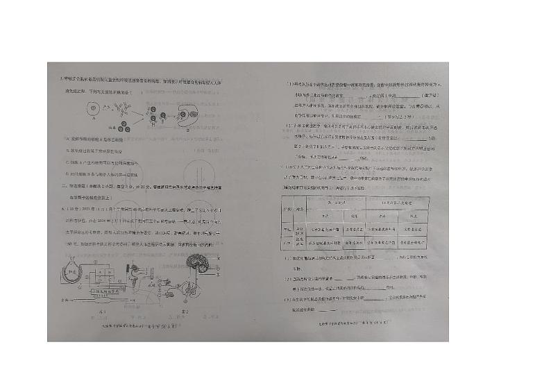 2024年内蒙古自治区赤峰市翁牛特旗中考二模生物试题02