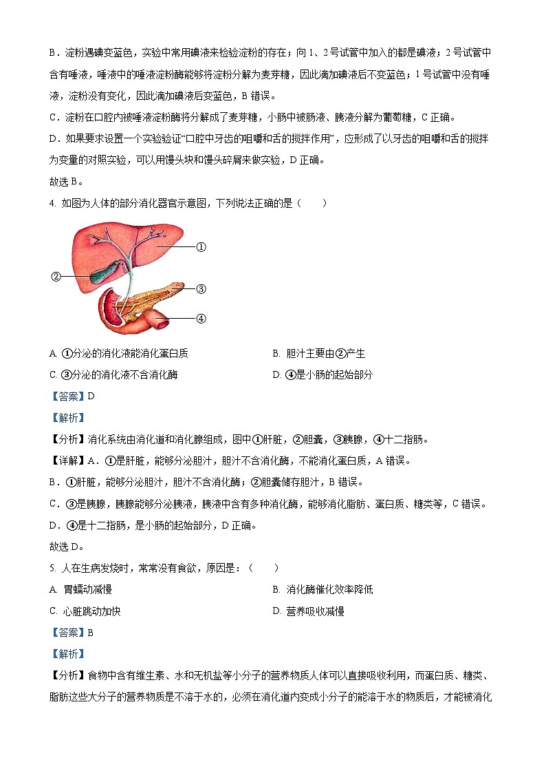 山东省济宁市泗水县2023-2024学年七年级下学期期中生物试题(解析版)第3页