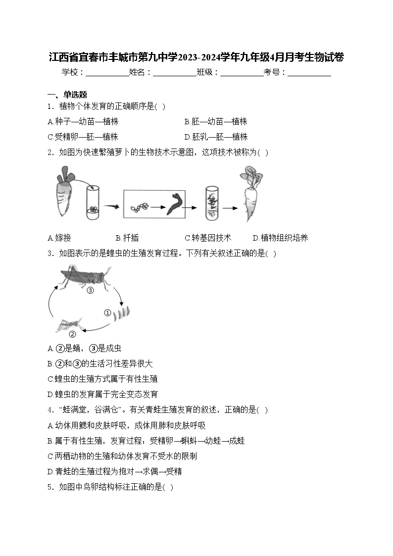 江西省宜春市丰城市第九中学2023-2024学年九年级4月月考生物试卷(含答案)