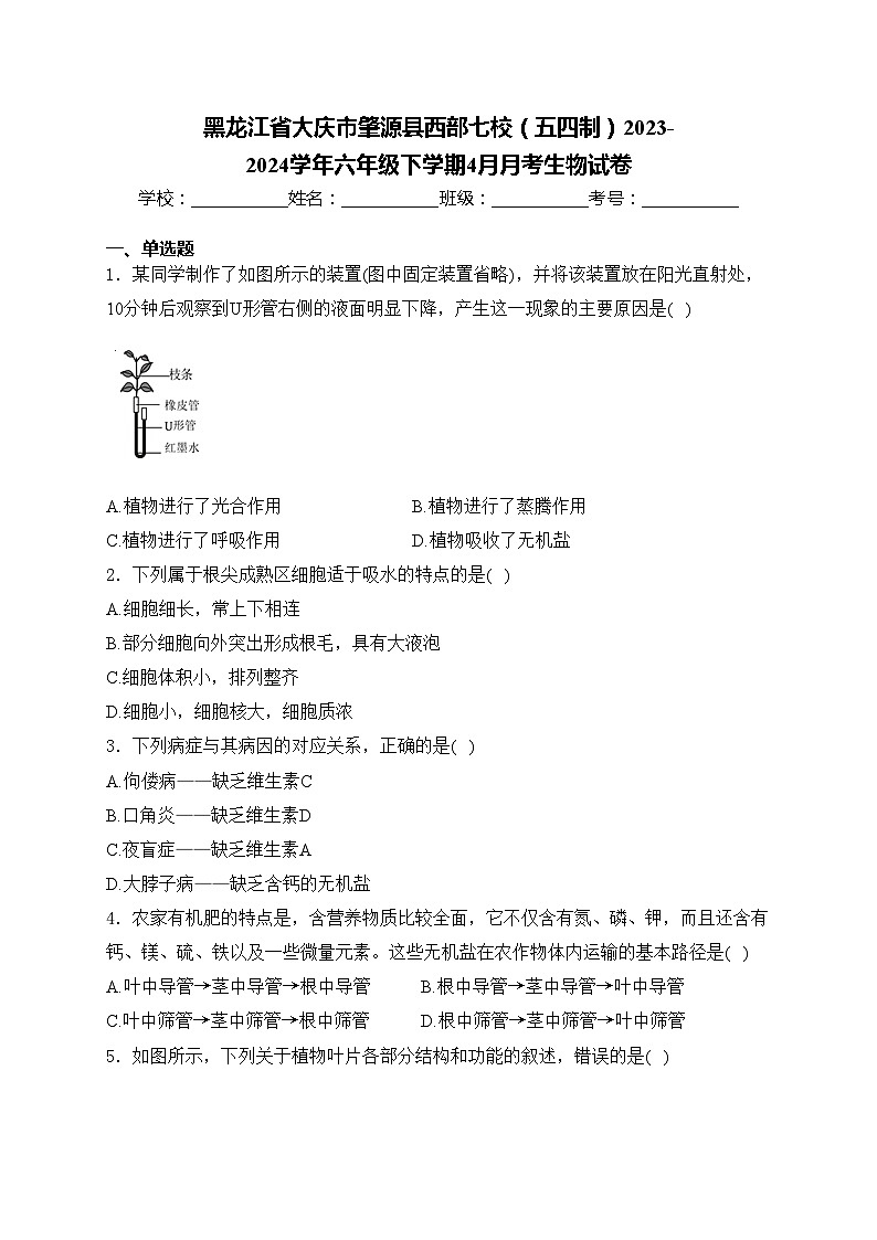 黑龙江省大庆市肇源县西部七校(五四制)2023-2024学年六年级下学期4月月考生物试卷(含答案)01