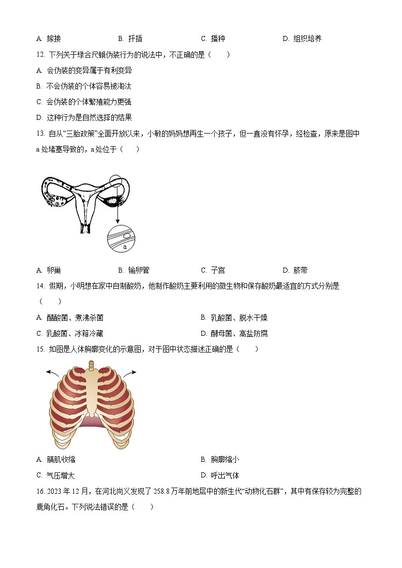 2024年河南省洛阳市中考一模生物试题(原卷版)第3页