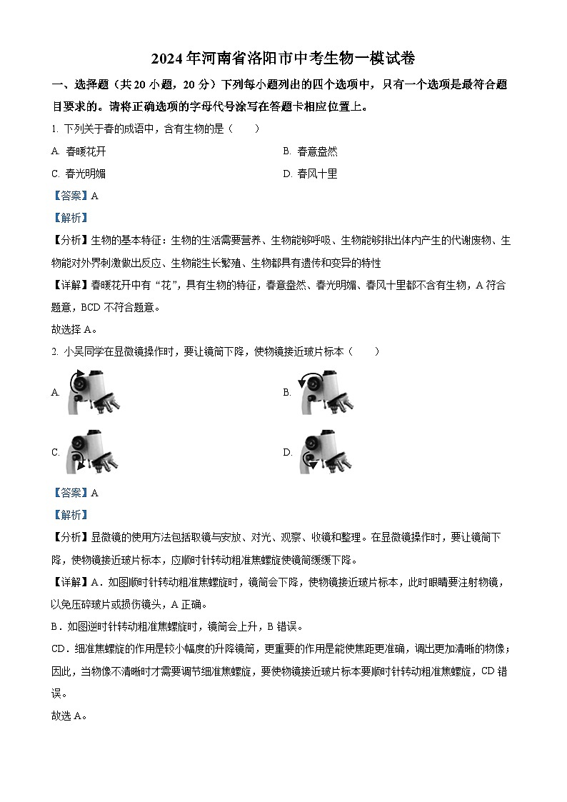 2024年河南省洛阳市中考一模生物试题(解析版)第1页